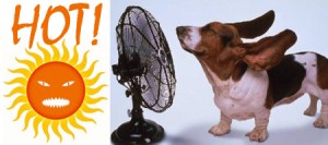 It's HOT! Is your car's A/C working properly?